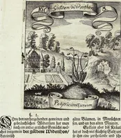 Picture 209 of 593 from Viridarium Reformatum, Seu Regnum Vegetabile, Das ist: Neu-eingerichtetes und Vollständiges Kräuter-Buch: Worinnen auff noch nicht geschehene Weise Derer Vegetabilien, als Kräutern, Sträuchen, Bäumen, Bluhmen und anderer Erd-Gewachsen Art, Krafft und Würckung dergestalt beschrieben werden, daß man dieses Werck statt einer Botanischen Bibliothec haben ... kan (1719), leaf 602