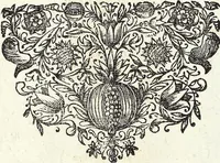 An illustration from Viridarium Reformatum, Seu Regnum Vegetabile, Das ist: Neu-eingerichtetes und Vollständiges Kräuter-Buch: Worinnen auff noch nicht geschehene Weise Derer Vegetabilien, als Kräutern, Sträuchen, Bäumen, Bluhmen und anderer Erd-Gewachsen Art, Krafft und Würckung dergestalt beschrieben werden, daß man dieses Werck statt einer Botanischen Bibliothec haben ... kan (1719)