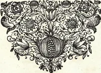 Picture 214 of 593 from Viridarium Reformatum, Seu Regnum Vegetabile, Das ist: Neu-eingerichtetes und Vollständiges Kräuter-Buch: Worinnen auff noch nicht geschehene Weise Derer Vegetabilien, als Kräutern, Sträuchen, Bäumen, Bluhmen und anderer Erd-Gewachsen Art, Krafft und Würckung dergestalt beschrieben werden, daß man dieses Werck statt einer Botanischen Bibliothec haben ... kan (1719), leaf 625