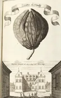 Picture 32 of 128 from Nürnbergische Hesperides, Oder Gründliche Beschreibung Der Edlen Citronat- Citronen- und Pomeranzen-Früchte: Wie solche in selbiger und benachbarten Gegend/ recht mögen eingesetzt/ gewartet/ erhalten und fortgebracht werden/ Samt Einer ausführlichen Erzehlung der meisten Sorten/ welche theils zu Nürnberg würcklich gewachsen/ theils von verschiedenen fremden Orten dahin gebracht worden, auf das accurateste in Kupffer gestochen/ in Vier Theile eingetheilet und mit nützlichen Anmerckungen erkläret (1708), leaf 161