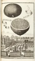 Picture 45 of 128 from Nürnbergische Hesperides, Oder Gründliche Beschreibung Der Edlen Citronat- Citronen- und Pomeranzen-Früchte: Wie solche in selbiger und benachbarten Gegend/ recht mögen eingesetzt/ gewartet/ erhalten und fortgebracht werden/ Samt Einer ausführlichen Erzehlung der meisten Sorten/ welche theils zu Nürnberg würcklich gewachsen/ theils von verschiedenen fremden Orten dahin gebracht worden, auf das accurateste in Kupffer gestochen/ in Vier Theile eingetheilet und mit nützlichen Anmerckungen erkläret (1708), leaf 209