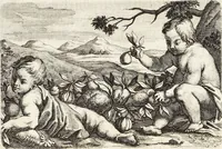 Picture 3 of 128 from Nürnbergische Hesperides, Oder Gründliche Beschreibung Der Edlen Citronat- Citronen- und Pomeranzen-Früchte: Wie solche in selbiger und benachbarten Gegend/ recht mögen eingesetzt/ gewartet/ erhalten und fortgebracht werden/ Samt Einer ausführlichen Erzehlung der meisten Sorten/ welche theils zu Nürnberg würcklich gewachsen/ theils von verschiedenen fremden Orten dahin gebracht worden, auf das accurateste in Kupffer gestochen/ in Vier Theile eingetheilet und mit nützlichen Anmerckungen erkläret (1708), leaf 24