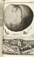 Picture 78 of 128 from Nürnbergische Hesperides, Oder Gründliche Beschreibung Der Edlen Citronat- Citronen- und Pomeranzen-Früchte: Wie solche in selbiger und benachbarten Gegend/ recht mögen eingesetzt/ gewartet/ erhalten und fortgebracht werden/ Samt Einer ausführlichen Erzehlung der meisten Sorten/ welche theils zu Nürnberg würcklich gewachsen/ theils von verschiedenen fremden Orten dahin gebracht worden, auf das accurateste in Kupffer gestochen/ in Vier Theile eingetheilet und mit nützlichen Anmerckungen erkläret (1708), leaf 327