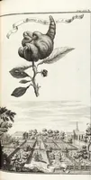 Picture 100 of 128 from Nürnbergische Hesperides, Oder Gründliche Beschreibung Der Edlen Citronat- Citronen- und Pomeranzen-Früchte: Wie solche in selbiger und benachbarten Gegend/ recht mögen eingesetzt/ gewartet/ erhalten und fortgebracht werden/ Samt Einer ausführlichen Erzehlung der meisten Sorten/ welche theils zu Nürnberg würcklich gewachsen/ theils von verschiedenen fremden Orten dahin gebracht worden, auf das accurateste in Kupffer gestochen/ in Vier Theile eingetheilet und mit nützlichen Anmerckungen erkläret (1708), leaf 397