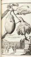 Picture 120 of 128 from Nürnbergische Hesperides, Oder Gründliche Beschreibung Der Edlen Citronat- Citronen- und Pomeranzen-Früchte: Wie solche in selbiger und benachbarten Gegend/ recht mögen eingesetzt/ gewartet/ erhalten und fortgebracht werden/ Samt Einer ausführlichen Erzehlung der meisten Sorten/ welche theils zu Nürnberg würcklich gewachsen/ theils von verschiedenen fremden Orten dahin gebracht worden, auf das accurateste in Kupffer gestochen/ in Vier Theile eingetheilet und mit nützlichen Anmerckungen erkläret (1708), leaf 475