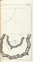An illustration from Nürnbergische Hesperides, Oder Gründliche Beschreibung Der Edlen Citronat- Citronen- und Pomeranzen-Früchte: Wie solche in selbiger und benachbarten Gegend/ recht mögen eingesetzt/ gewartet/ erhalten und fortgebracht werden/ Samt Einer ausführlichen Erzehlung der meisten Sorten/ welche theils zu Nürnberg würcklich gewachsen/ theils von verschiedenen fremden Orten dahin gebracht worden, auf das accurateste in Kupffer gestochen/ in Vier Theile eingetheilet und mit nützlichen Anmerckungen erkläret (1708)