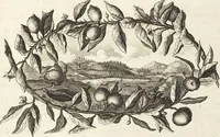 Picture 15 of 128 from Nürnbergische Hesperides, Oder Gründliche Beschreibung Der Edlen Citronat- Citronen- und Pomeranzen-Früchte: Wie solche in selbiger und benachbarten Gegend/ recht mögen eingesetzt/ gewartet/ erhalten und fortgebracht werden/ Samt Einer ausführlichen Erzehlung der meisten Sorten/ welche theils zu Nürnberg würcklich gewachsen/ theils von verschiedenen fremden Orten dahin gebracht worden, auf das accurateste in Kupffer gestochen/ in Vier Theile eingetheilet und mit nützlichen Anmerckungen erkläret (1708), leaf 69