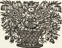 An illustration from Continvation der Nürnbergischen Hesperidvm, Oder: Fernere gründliche Beschreibung Der Edlen Citronat- Citronen- und Pomeranzen-Früchte: mit einem ausführlichen Bericht, wie solche am besten zu warten und zu erhalten seyn ; Worbei diejenigen Sorten, so theils zu Nürnberg gewachsen, theils von verschiedenen fremden Orten dahin gelanget, auf das accurateste in Kupffer gestochen und nachgezeichnet worden ; abermals in vier Theile eingetheilet, und mit gehörigen Anmerkungen erläutert (1714)