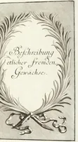 An illustration from Continvation der Nürnbergischen Hesperidvm, Oder: Fernere gründliche Beschreibung Der Edlen Citronat- Citronen- und Pomeranzen-Früchte: mit einem ausführlichen Bericht, wie solche am besten zu warten und zu erhalten seyn ; Worbei diejenigen Sorten, so theils zu Nürnberg gewachsen, theils von verschiedenen fremden Orten dahin gelanget, auf das accurateste in Kupffer gestochen und nachgezeichnet worden ; abermals in vier Theile eingetheilet, und mit gehörigen Anmerkungen erläutert (1714)