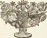 An illustration from Continvation der Nürnbergischen Hesperidvm, Oder: Fernere gründliche Beschreibung Der Edlen Citronat- Citronen- und Pomeranzen-Früchte: mit einem ausführlichen Bericht, wie solche am besten zu warten und zu erhalten seyn ; Worbei diejenigen Sorten, so theils zu Nürnberg gewachsen, theils von verschiedenen fremden Orten dahin gelanget, auf das accurateste in Kupffer gestochen und nachgezeichnet worden ; abermals in vier Theile eingetheilet, und mit gehörigen Anmerkungen erläutert (1714)