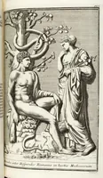 An illustration from Continvation der Nürnbergischen Hesperidvm, Oder: Fernere gründliche Beschreibung Der Edlen Citronat- Citronen- und Pomeranzen-Früchte: mit einem ausführlichen Bericht, wie solche am besten zu warten und zu erhalten seyn ; Worbei diejenigen Sorten, so theils zu Nürnberg gewachsen, theils von verschiedenen fremden Orten dahin gelanget, auf das accurateste in Kupffer gestochen und nachgezeichnet worden ; abermals in vier Theile eingetheilet, und mit gehörigen Anmerkungen erläutert (1714)