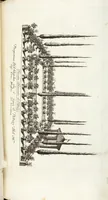 An illustration from Continvation der Nürnbergischen Hesperidvm, Oder: Fernere gründliche Beschreibung Der Edlen Citronat- Citronen- und Pomeranzen-Früchte: mit einem ausführlichen Bericht, wie solche am besten zu warten und zu erhalten seyn ; Worbei diejenigen Sorten, so theils zu Nürnberg gewachsen, theils von verschiedenen fremden Orten dahin gelanget, auf das accurateste in Kupffer gestochen und nachgezeichnet worden ; abermals in vier Theile eingetheilet, und mit gehörigen Anmerkungen erläutert (1714)