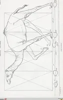 Picture 12 of 12 from The camel: its anatomy, proportions, and paces (1865), leaf 106