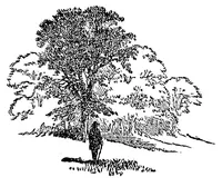 An illustration from The telescope: a familiar sketch (1876)