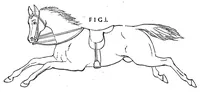 An illustration from The boy\s own toy-maker: a practical illustrated guide to the useful employment of leasure hours (1881)