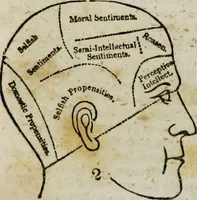 An illustration from Fowler's practical phrenology [electronic resource]: giving a concise elementary view on phrenology; presenting some new and important remarks on the temperaments (1850)