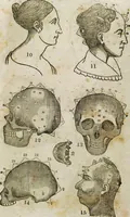 An illustration from Fowler's practical phrenology [electronic resource]: giving a concise elementary view on phrenology; presenting some new and important remarks on the temperaments (1850)