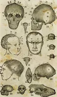 An illustration from Fowler's practical phrenology [electronic resource]: giving a concise elementary view on phrenology; presenting some new and important remarks on the temperaments (1850)