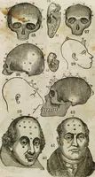 An illustration from Fowler's practical phrenology [electronic resource]: giving a concise elementary view on phrenology; presenting some new and important remarks on the temperaments (1850)