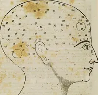 An illustration from Fowler's practical phrenology [electronic resource]: giving a concise elementary view on phrenology; presenting some new and important remarks on the temperaments (1850)