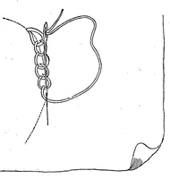 Picture 6 of 17 from Handbook of embroidery (1880), leaf 40