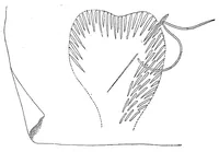 An illustration from Handbook of embroidery (1880)