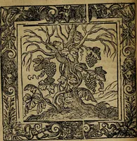 An illustration from Omnia Andreae Alciati v.c. emblemata [electronic resource]: cum commentariis, quibus emblematum omnium aperta origine, mens auctoris explicatur, & obscura omnia dubiáque illustrantur (1581)