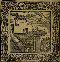 Picture 38 of 256 from Omnia Andreae Alciati v.c. emblemata [electronic resource]: cum commentariis, quibus emblematum omnium aperta origine, mens auctoris explicatur, & obscura omnia dubiáque illustrantur (1581), leaf 168