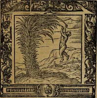 An illustration from Omnia Andreae Alciati v.c. emblemata [electronic resource]: cum commentariis, quibus emblematum omnium aperta origine, mens auctoris explicatur, & obscura omnia dubiáque illustrantur (1581)