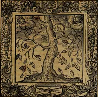 An illustration from Omnia Andreae Alciati v.c. emblemata [electronic resource]: cum commentariis, quibus emblematum omnium aperta origine, mens auctoris explicatur, & obscura omnia dubiáque illustrantur (1581)