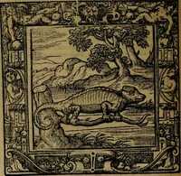 Picture 69 of 256 from Omnia Andreae Alciati v.c. emblemata [electronic resource]: cum commentariis, quibus emblematum omnium aperta origine, mens auctoris explicatur, & obscura omnia dubiáque illustrantur (1581), leaf 244