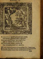 An illustration from Omnia Andreae Alciati v.c. emblemata [electronic resource]: cum commentariis, quibus emblematum omnium aperta origine, mens auctoris explicatur, & obscura omnia dubiáque illustrantur (1581)