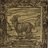 An illustration from Omnia Andreae Alciati v.c. emblemata [electronic resource]: cum commentariis, quibus emblematum omnium aperta origine, mens auctoris explicatur, & obscura omnia dubiáque illustrantur (1581)