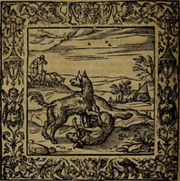 Picture 86 of 256 from Omnia Andreae Alciati v.c. emblemata [electronic resource]: cum commentariis, quibus emblematum omnium aperta origine, mens auctoris explicatur, & obscura omnia dubiáque illustrantur (1581), leaf 278