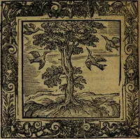 An illustration from Omnia Andreae Alciati v.c. emblemata [electronic resource]: cum commentariis, quibus emblematum omnium aperta origine, mens auctoris explicatur, & obscura omnia dubiáque illustrantur (1581)