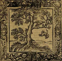 Picture 116 of 256 from Omnia Andreae Alciati v.c. emblemata [electronic resource]: cum commentariis, quibus emblematum omnium aperta origine, mens auctoris explicatur, & obscura omnia dubiáque illustrantur (1581), leaf 359