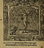 Picture 133 of 256 from Omnia Andreae Alciati v.c. emblemata [electronic resource]: cum commentariis, quibus emblematum omnium aperta origine, mens auctoris explicatur, & obscura omnia dubiáque illustrantur (1581), leaf 402