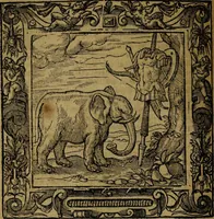 Picture 151 of 256 from Omnia Andreae Alciati v.c. emblemata [electronic resource]: cum commentariis, quibus emblematum omnium aperta origine, mens auctoris explicatur, & obscura omnia dubiáque illustrantur (1581), leaf 470