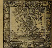An illustration from Omnia Andreae Alciati v.c. emblemata [electronic resource]: cum commentariis, quibus emblematum omnium aperta origine, mens auctoris explicatur, & obscura omnia dubiáque illustrantur (1581)