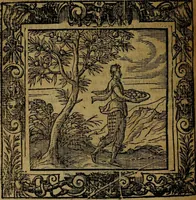 Picture 173 of 256 from Omnia Andreae Alciati v.c. emblemata [electronic resource]: cum commentariis, quibus emblematum omnium aperta origine, mens auctoris explicatur, & obscura omnia dubiáque illustrantur (1581), leaf 536