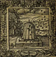 An illustration from Omnia Andreae Alciati v.c. emblemata [electronic resource]: cum commentariis, quibus emblematum omnium aperta origine, mens auctoris explicatur, & obscura omnia dubiáque illustrantur (1581)