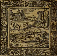 An illustration from Omnia Andreae Alciati v.c. emblemata [electronic resource]: cum commentariis, quibus emblematum omnium aperta origine, mens auctoris explicatur, & obscura omnia dubiáque illustrantur (1581)