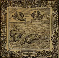 Picture 205 of 256 from Omnia Andreae Alciati v.c. emblemata [electronic resource]: cum commentariis, quibus emblematum omnium aperta origine, mens auctoris explicatur, & obscura omnia dubiáque illustrantur (1581), leaf 611