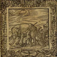An illustration from Omnia Andreae Alciati v.c. emblemata [electronic resource]: cum commentariis, quibus emblematum omnium aperta origine, mens auctoris explicatur, & obscura omnia dubiáque illustrantur (1581)