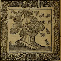 Picture 215 of 256 from Omnia Andreae Alciati v.c. emblemata [electronic resource]: cum commentariis, quibus emblematum omnium aperta origine, mens auctoris explicatur, & obscura omnia dubiáque illustrantur (1581), leaf 634