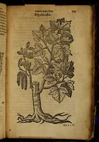 Picture 256 of 256 from Omnia Andreae Alciati v.c. emblemata [electronic resource]: cum commentariis, quibus emblematum omnium aperta origine, mens auctoris explicatur, & obscura omnia dubiáque illustrantur (1581), leaf 743