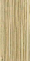 An illustration from Colonna Traiana eretta dal Senato, e popolo romano all'imperatore Traiano Avgvsto nel svo foro in Roma [electronic resource]: scolpita con l'historie della gverra dacica la prima e la seconda espeditione, e vittoria contro il re Decebalo (1673)