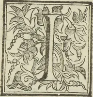 Picture 134 of 134 from Colonna Traiana eretta dal Senato, e popolo romano all'imperatore Traiano Avgvsto nel svo foro in Roma [electronic resource]: scolpita con l'historie della gverra dacica la prima e la seconda espeditione, e vittoria contro il re Decebalo (1673), leaf 263