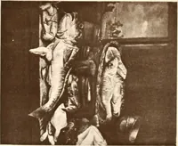 Picture 1 of 95 from Illustrated catalogue of the seventh series of 100 paintings by old masters of the Dutch, Flemish, Italian, French, and English schools, being a portion of the Sedelmeyer Gallery : which contains about 1500 original pictures by ancient and modern artists (1901), leaf 16