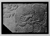 Picture 1 of 15 from 100 imported cotton cloths [microform] : showing cloth particulars, invoice prices in 1913 and 1920, and rates of duty applicable under acts of 1909, 1913, and 1922 (1923), leaf 24